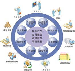 NetSuite 解決傳統(tǒng)計(jì)算機(jī)系統(tǒng)服務(wù)無(wú)法觸及的痛點(diǎn)